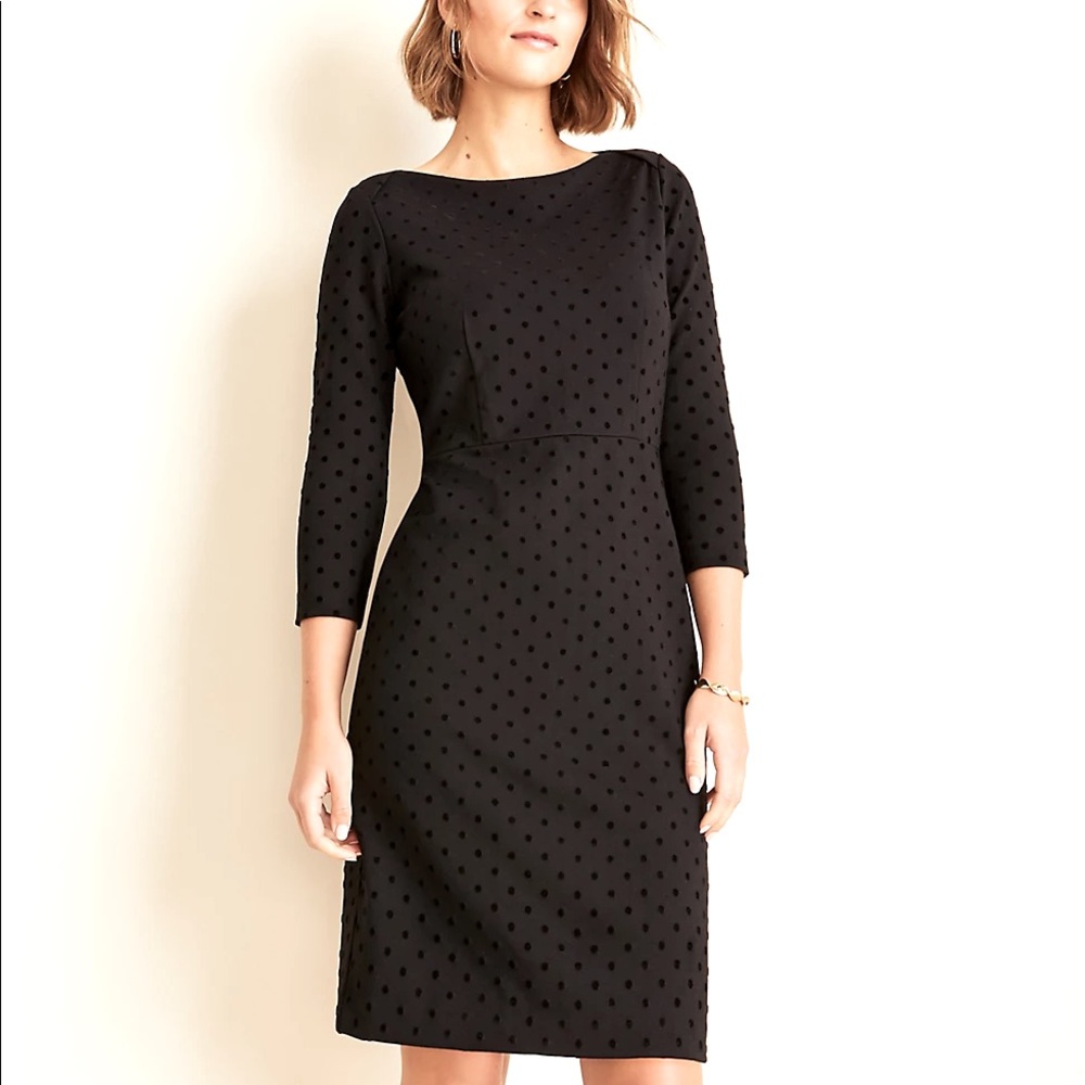 NWT - Velvet Dots Boatneck Dress